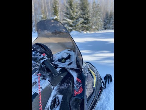 Видео: #Stels Ставр. прогулки в лесу.