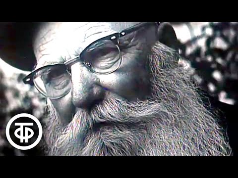 Видео: Остановись, мгновение! Фотокорреспондент Евгений Халдей (1988)