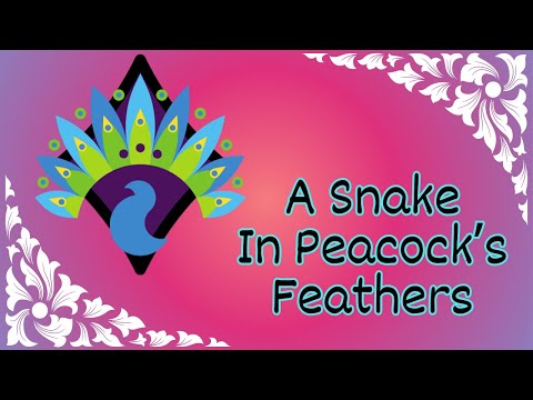 Видео: Змея в павлиньих перьях [Модель Lycan: EP4] [F4M] [Слушатель тигра] [Драма] [Первый поцелуй]