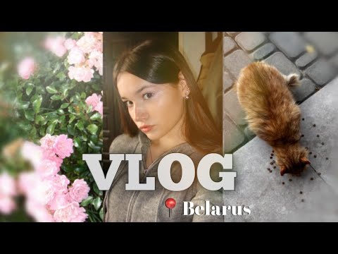 Видео: ВЛОГ✨Беларусь, покупки 🛍️разговоры 
