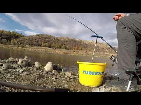 Видео: Улов на черна мряна