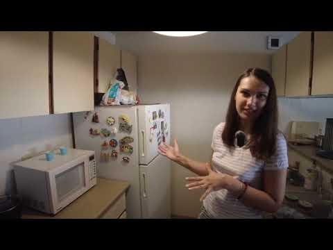 Видео: Какую квартиру можно найти в Канаде Калгари до 2000 CAD? РУМТУР