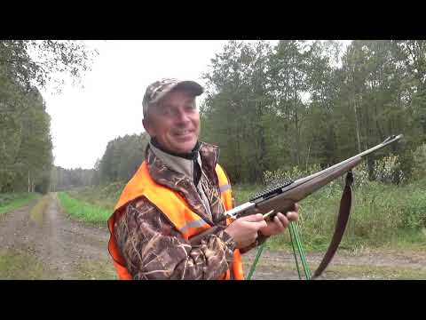 Видео: Открытие загонной охоты!!! Белоруссия 2025