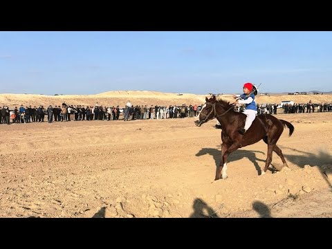 Видео: Жыңғылды ауылы 95 жыл Ошақ бәйге 21 шақырым