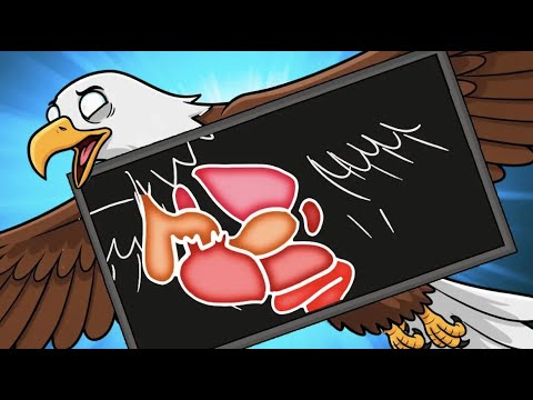 Видео: Как органы Птиц отличаются от Человеческих?