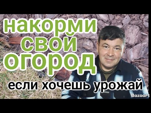 Видео: Как насытить землю в огороде