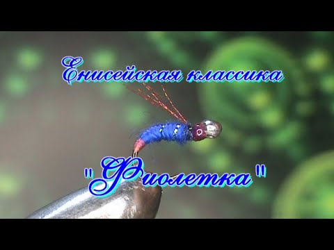 Видео: "Фиолетка"