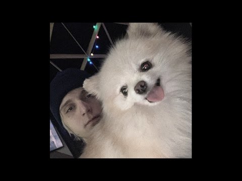 Видео: (FREE) Платина x LOVV66 Type Beat - Eternal Luv