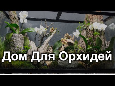 Видео: Дом для орхидей. Как восстановить корни без субстрата.