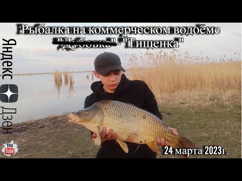 Видео: Рыбалка на коммерческом водоёме СПК п-з "Ставропольское" село "Тищенское" 24 марта 2023г.