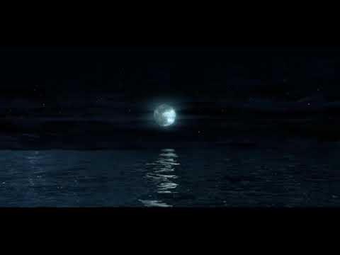 Видео: Noize MC - Моё Море (Doomer Version)