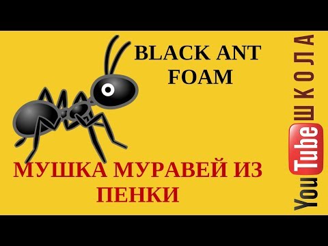 Видео: Мушки от Данилыча - Муха муравей/Black Ant Foam