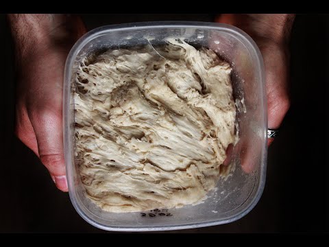 Видео: БИГА. Ферментированная закваска для теста. Как приготовить бигу.