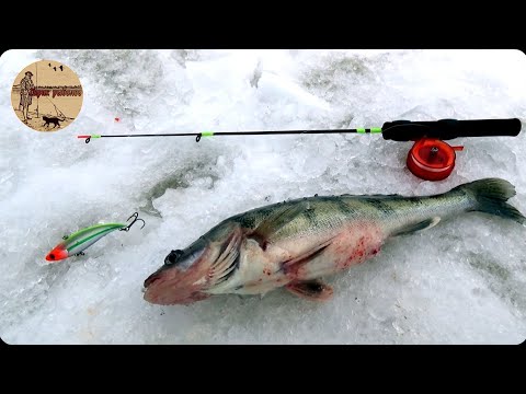 Видео: ЭТО НЕ СУДАК,Рыбалка на вибы с эхолотом. Сamping ,fishing,bushcraft,