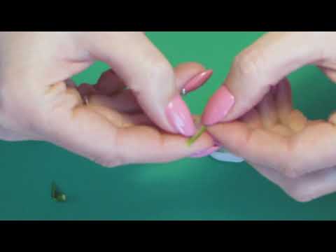 Видео: Разбор подснежника