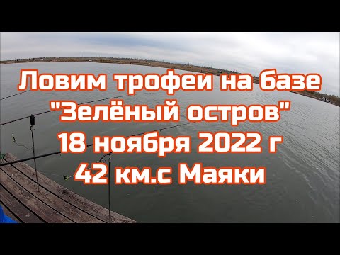 Видео: 1 серия.Ловим ТРОФЕЙНЫХ карпов на базе "Зелёный остров".42 км .с Маяки.1 серия
