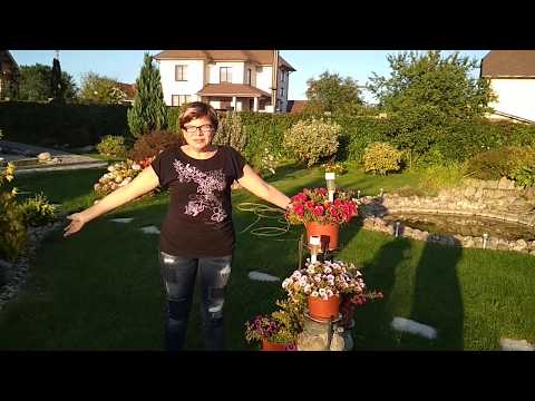 Видео: Как легко разработать заброшенный участок. 3 способа.