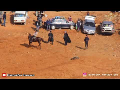 Видео: Улоки Дашти калон Бузкаши Кукмар Спонсор Бахтиёр Усмонов