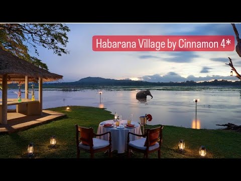 Видео: Habarana Village by Cinnamon отель на Шри Ланке вблизи от достопримечательностей,обезьяны в отеле.