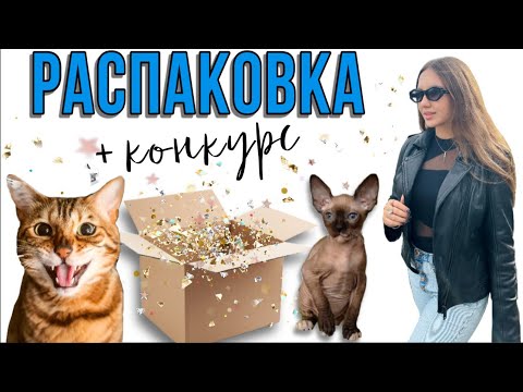 Видео: Большая распаковка зоотоваров для котиков 😺 Конкурс!
