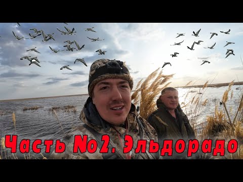 Видео: Гусиное эльдорадо. Лучшая охота на гуся. часть 2