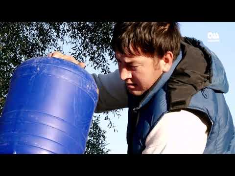 Видео: Өзү мал чарбачылыгын түзүп ФЕРМЕР аталган  Маматжалил Токуров. Демилге №3 чыгарылыш.