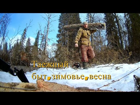 Видео: Зимовье(изба),весна,будни таежника,каракат.