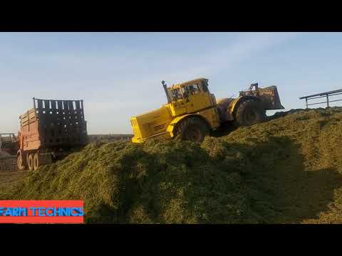 Видео: Продолжается заготовка силоса
