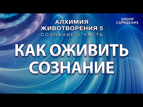 Видео: Как оживить сознание #АлгоритмикаСознания2 #Гарат #АЖ5  #Сознание #ЖивыеСеминары #школаСорадение