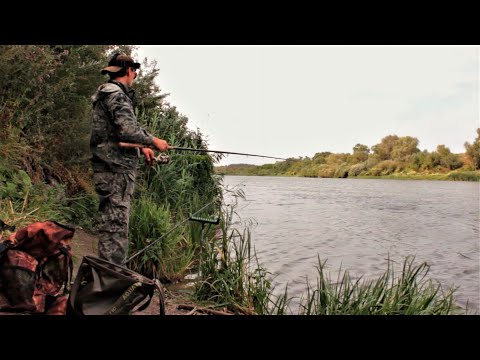 Видео: Фидер на Дону в Воронежской области.