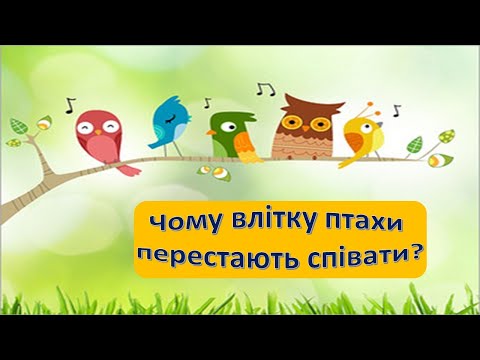 Видео: Урок 67.  Чому влітку птахи перестають співати? Я досліджую світ 3 клас.