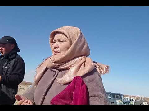Видео: 19 октября 2025 г.