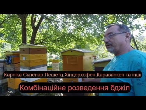 Видео: Карніка Скленар,Пешетц,Хіндерхофен,Караванкен та інші на тестовій пасіці Доскоч І.М.