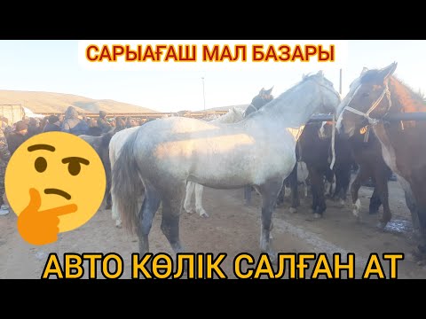 Видео: Сарыағаш мал базары 26.12.2022ж ҚҰНАН, ДӨНЕН, КОКПАР АТТАР МЕН АЙҒЫР АТТАРДЫҢ БАҒАСЫ.