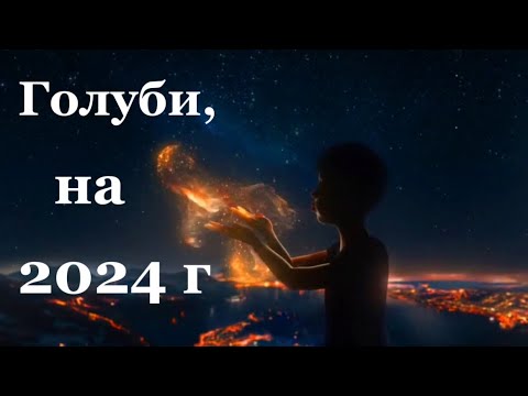 Видео: Голуби на 2024 г