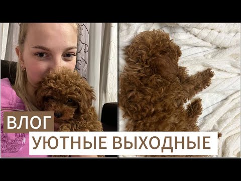 Видео: Vlog: наши уютные выходные🍂