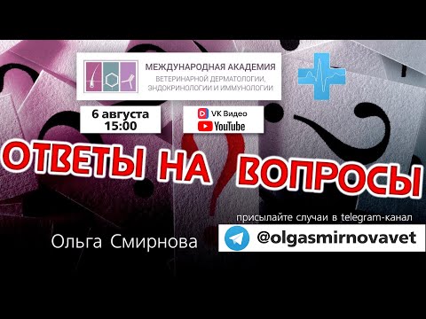 Видео: Ответы на вопросы. Выпуск от 6.08.2025
