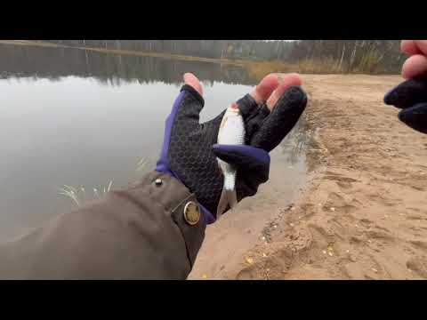 Видео: Мормышинг