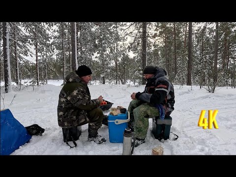 Видео: ТАК БЫВАЕТ У МНОГИХ | ЗИМНЯЯ РЫБАЛКА | ПАЛАТКА РИПУС 6 НЕ ПОДВЕЛА!