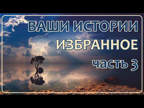 Видео: Ваши Истории - Избранное (часть 3)