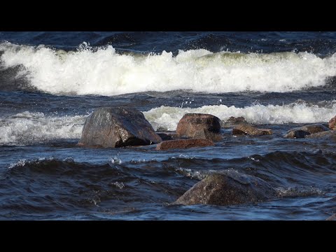 Видео: СЕВЕРНАЯ КАРЕЛИЯ  В КРАЮ ОЗЕРНОГО ХАРИУСА  2 ЧАСТЬ