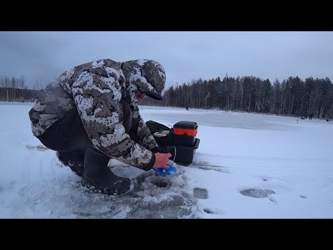 Видео: ПЕРВЫЙ ЛЁД 2025-2026 гг. ДАЖЕ ПРИСЕСТЬ НЕКОГДА, СРАБОТКИ ОДНА ЗА ОДНОЙ! 