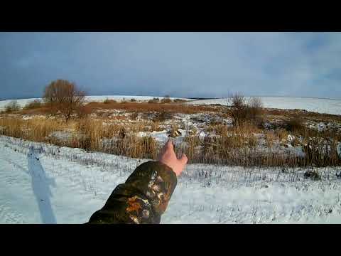 Видео: Охота с РПГ на зайца русака! Салютонул, теоретически взял!