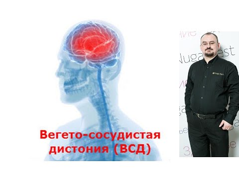 Видео: Вегетативная иннервация сердца и сосудов. Вегето-сосудистая дистония. Гипотония.