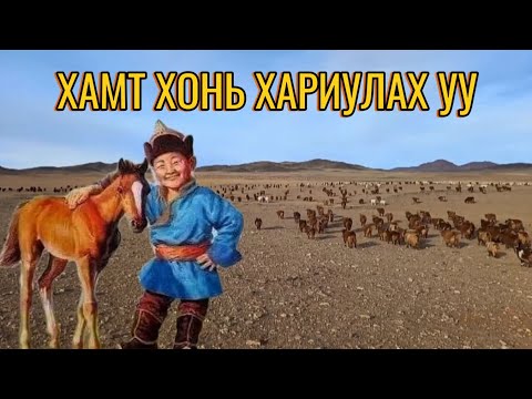 Видео: Хамт хонь хариулах уу