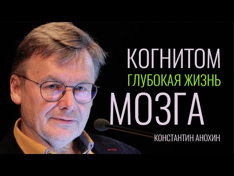 Видео: Когнитом — глубокая жизнь Мозга. Константин Анохин