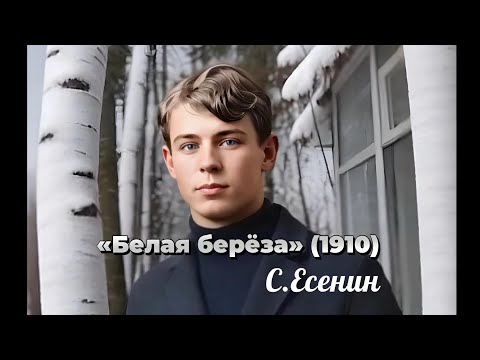 Видео: «Белая берёза» 
