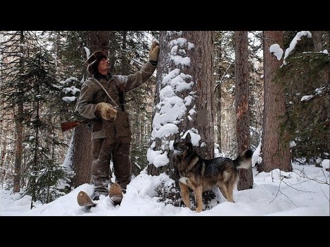 Видео: Рыбалка на таёжной реке. Мечты сбываются в Сибири. Зимняя рыбалка на хариуса.