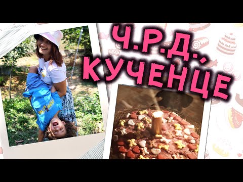 Видео: ПРАВИМ КУЧЕШКА ТОРТА 🎂🎉