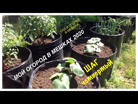 Видео: Мой ОГОРОД В МЕШКАХ 2020. Запись №4. Обзорная экскурсия. My GARDEN in BAGS 2020